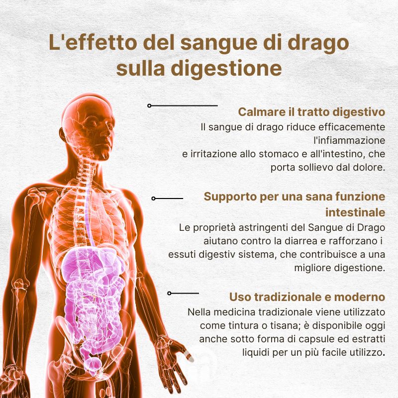 (Italština) Vliv dračí krve na trávení